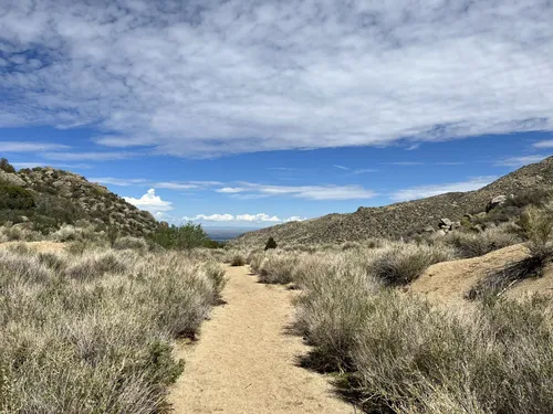 10 Best Mountain Biking Trails in Sandia Foothills Open Space Park