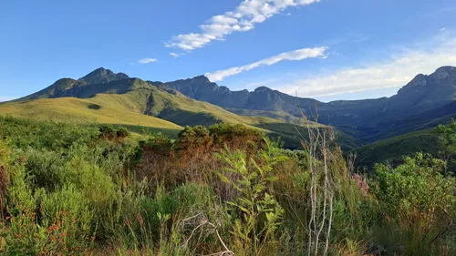 10 Best Trails and Hikes in George | AllTrails