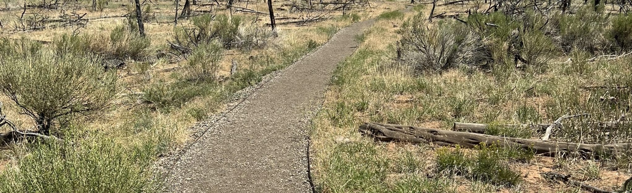 Badger House Community Trail [CLOSED], Colorado 146 Reviews, Map