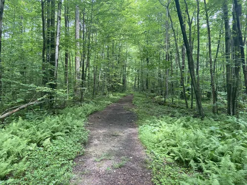 Best Hikes and Trails in Bear Run Nature Reserve | AllTrails
