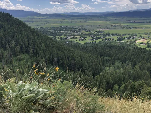 Best Forest Trails in Star Valley Ranch AllTrails