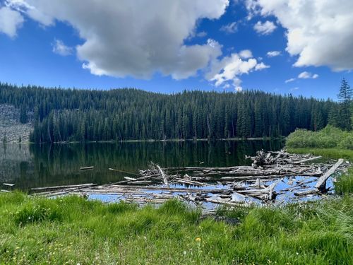 Grand Mesa Hiking Trails Best 10 Trails In Grand Mesa National Forest | Alltrails