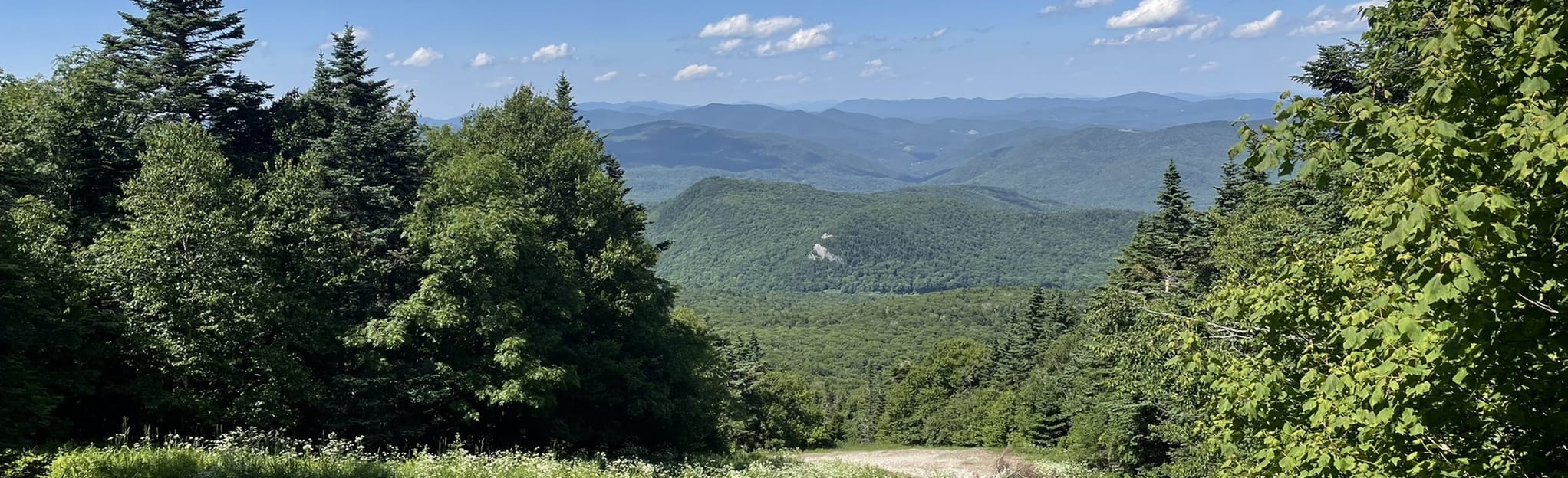 Pico Peak and Killington Peak via Sherburne Pass Trail 159 Reviews