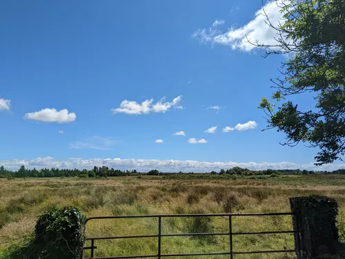 Best Views Trails in Monivea AllTrails