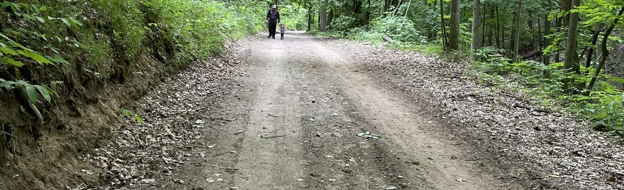 AllTrails Dufferin Forest via Oak Ridges 20 Reviews, Map Ontario