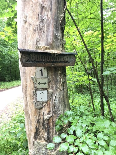 Burgbrunnen ab Parkplatz Fuchslöcher