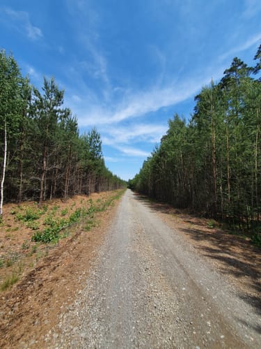 Rundweg durch Steinitz und Weißig