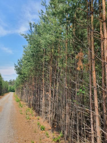 Rundweg durch Steinitz und Weißig