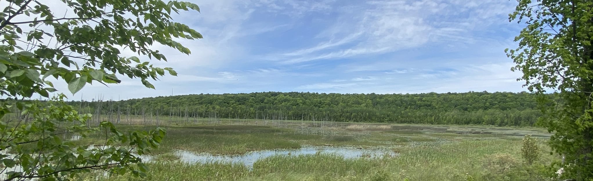 AllTrails Bognor Mash Management Area 20 Reviews, Map Ontario, Canada