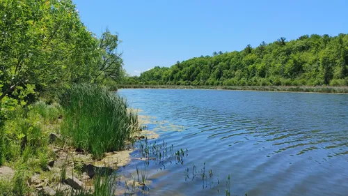 is gatineau park dog friendly