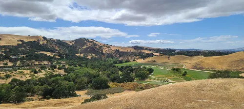 are dogs allowed at del valle regional park