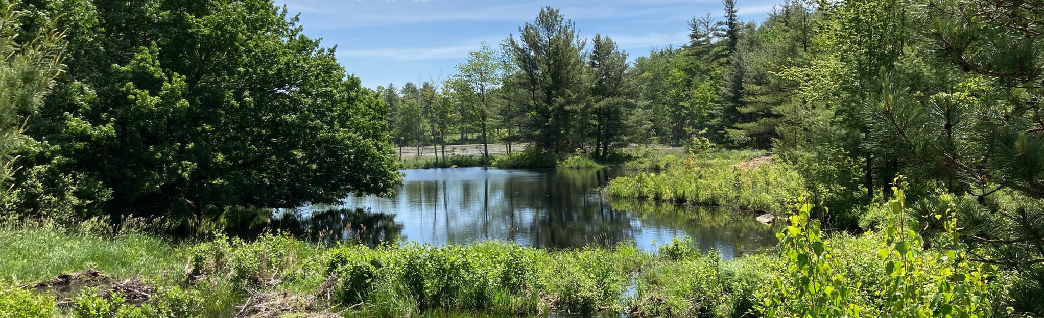 Heron Pond Loop 49 foto's New Hampshire AllTrails