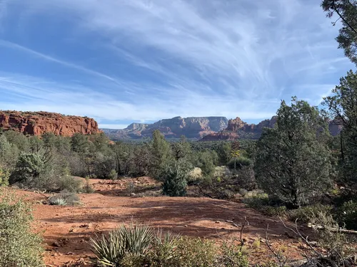 Wildlife of the Coconino National Forest - Owlcation