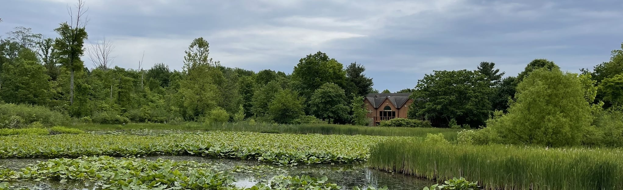 Buttermilk Falls Trail 507 foto's Ohio AllTrails