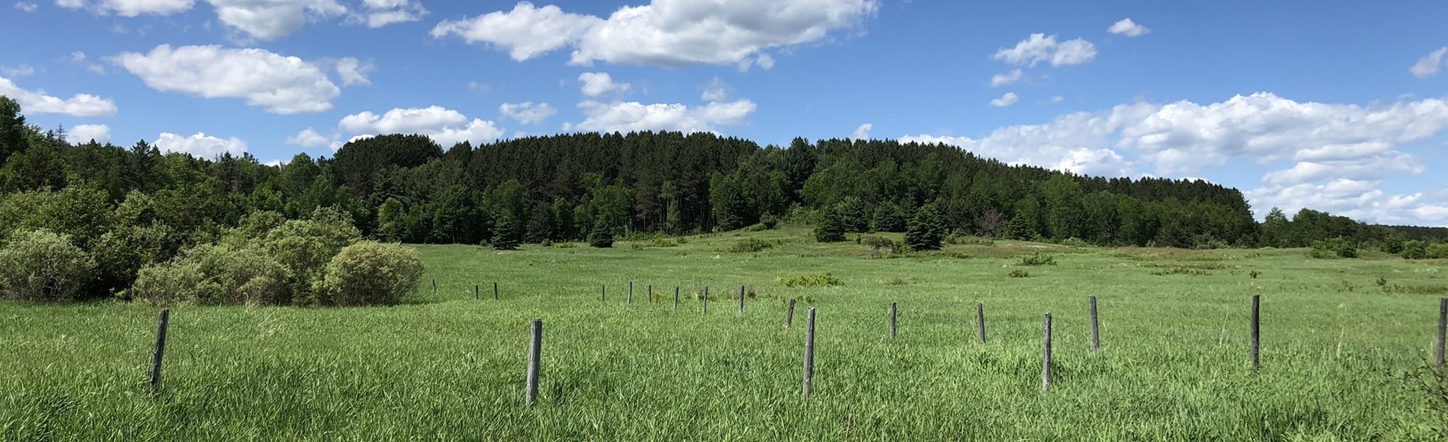 Burwash Prison Trail - Ontario, Canada | AllTrails