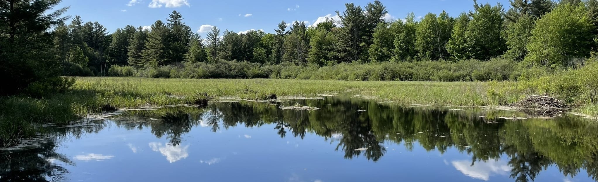 PWT - Outback Loop, Ontario, Canada - 381 Reviews, Map | AllTrails