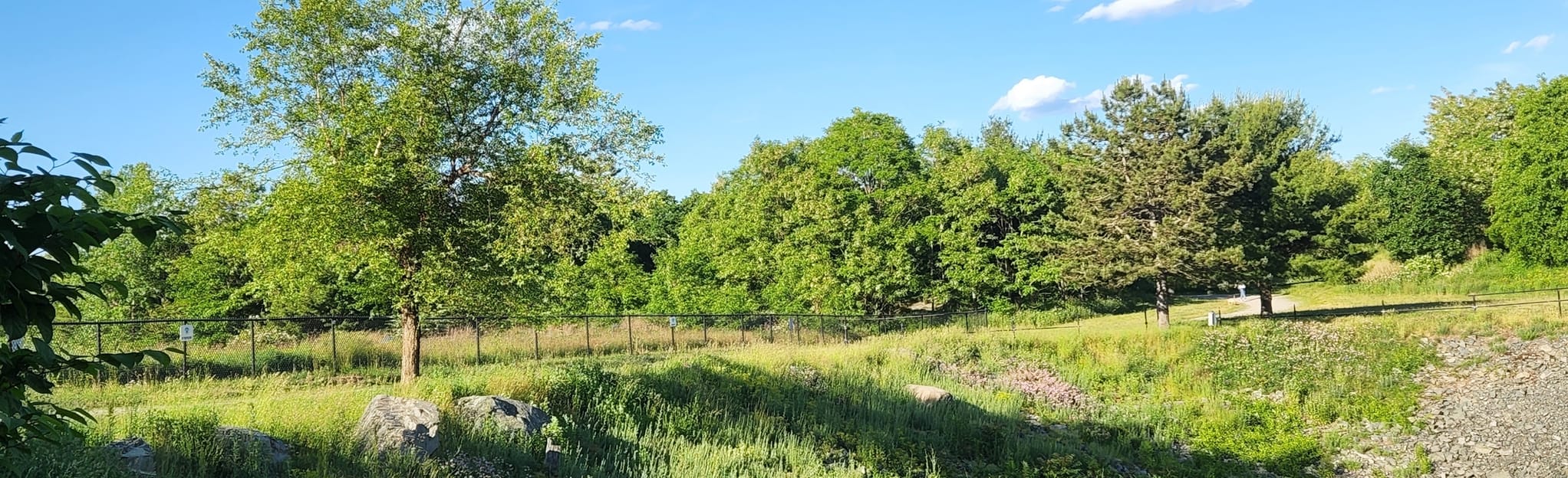 Rock Circuit Trail to Cross Fells Trail Loop 516 Reviews, Map