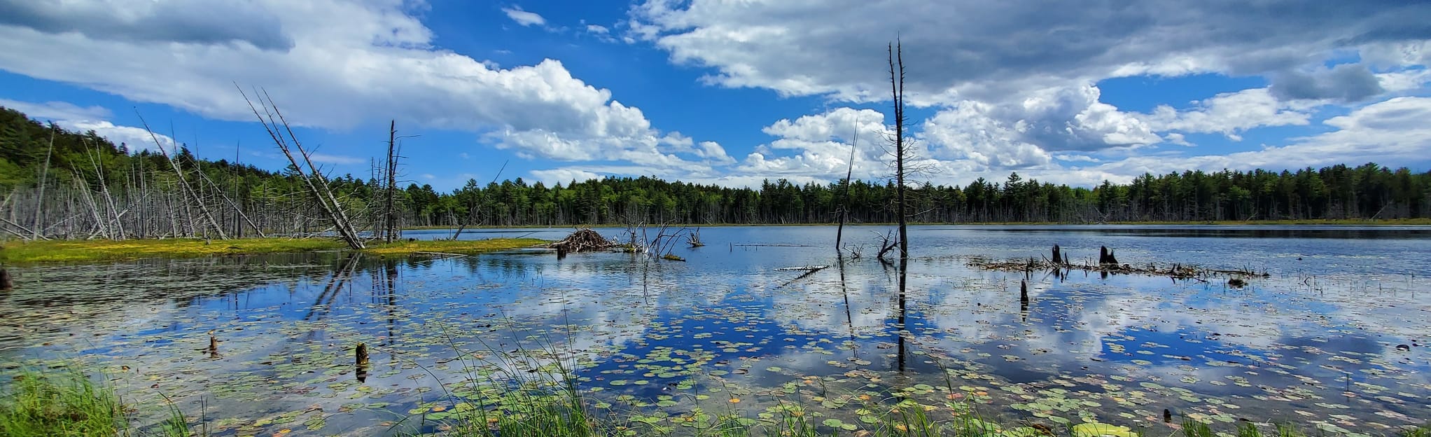 Fresh Pond Trail 37 Reviews, Map Maine AllTrails