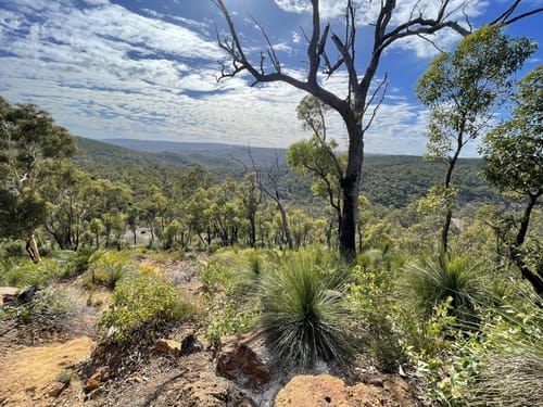 2023 Best Waterfall Trails in Kalamunda National Park AllTrails
