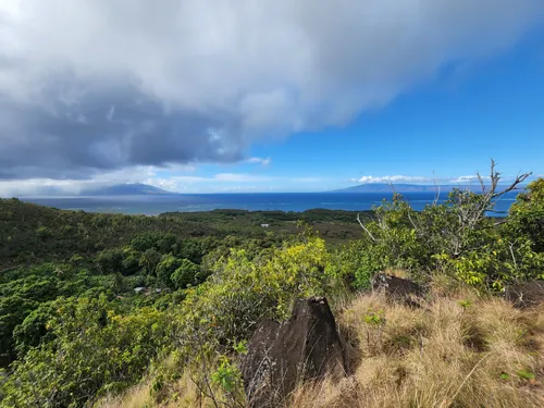 10 Best Trails and Hikes in Molokai | AllTrails