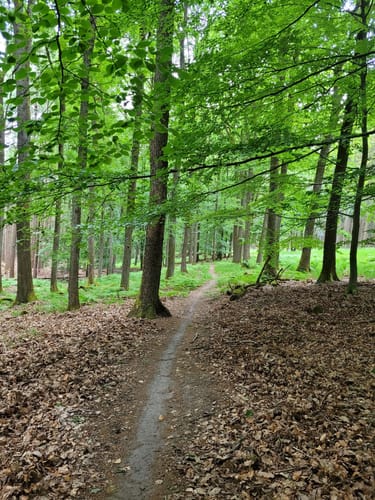 Don Bosco Trail