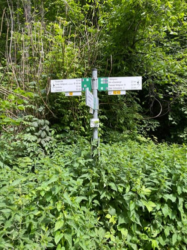 Naturerlebnis Schlangenweg
