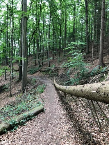 Naturerlebnis Schlangenweg