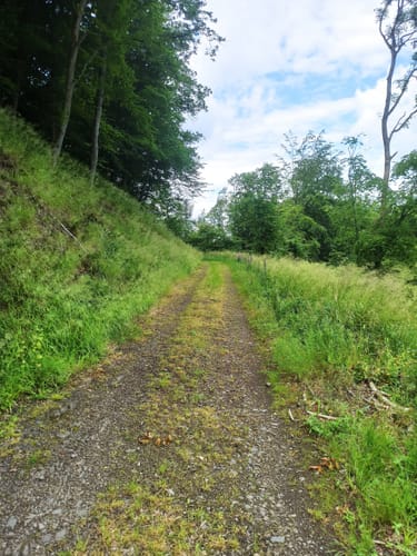 Ruine Neuerburg und Fockenbachtal (Kurtscheid K2)