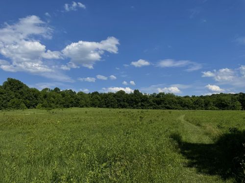 Escape to the Enchanting Ohio Highlands: A Sanctuary for Nature Lovers