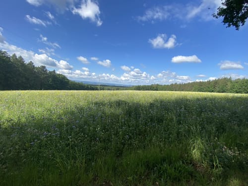 Radeberg nach Bad Schandau