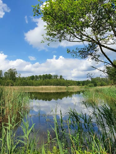 Teichrunde bei Mönau