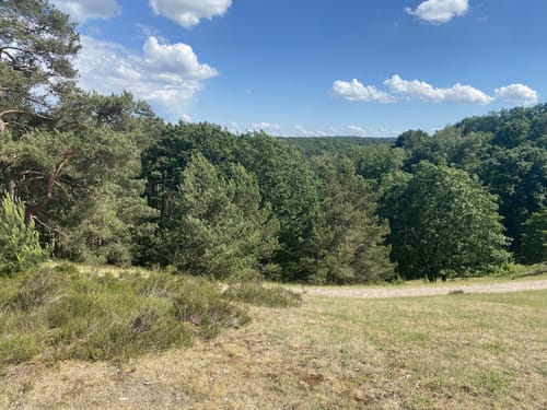 Zum Segelflugplatz durch die Fischbeker Heide