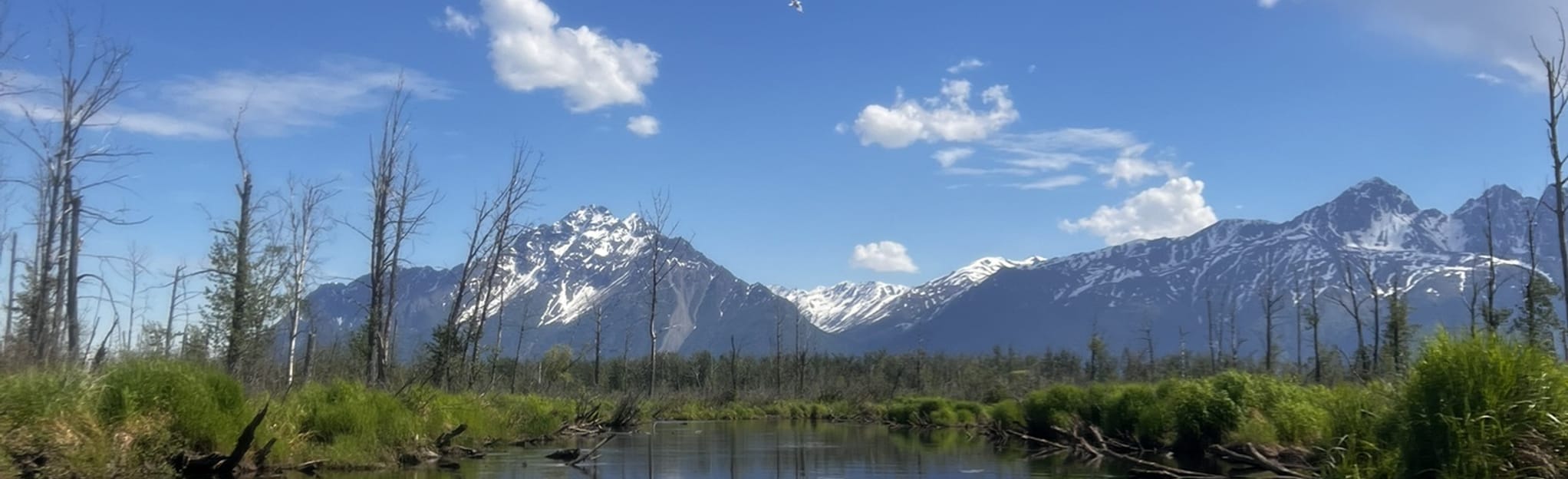 Rabbit Slough Hiking Trail Alaska AllTrails