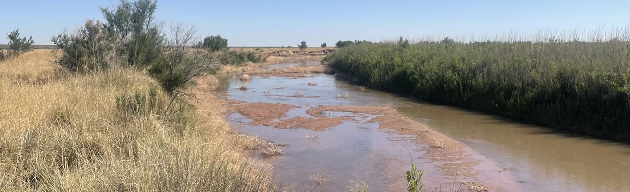 Salt Creek Wilderness Trail: 15 Reviews, Map - New Mexico | AllTrails