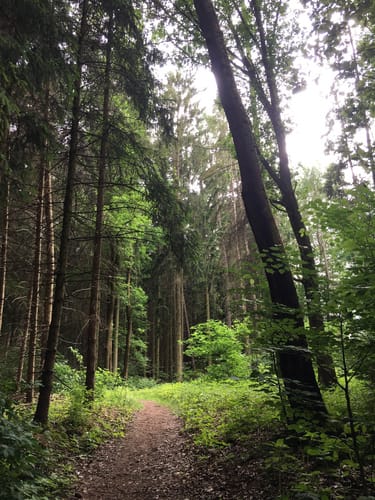 St. Egidien - Rümpfwald - Rundweg