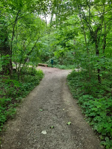 Best Walking Trails in Muncie | AllTrails