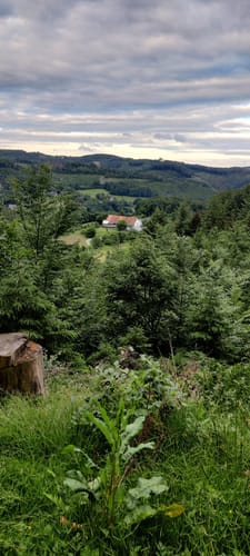 Runde bei Dahl