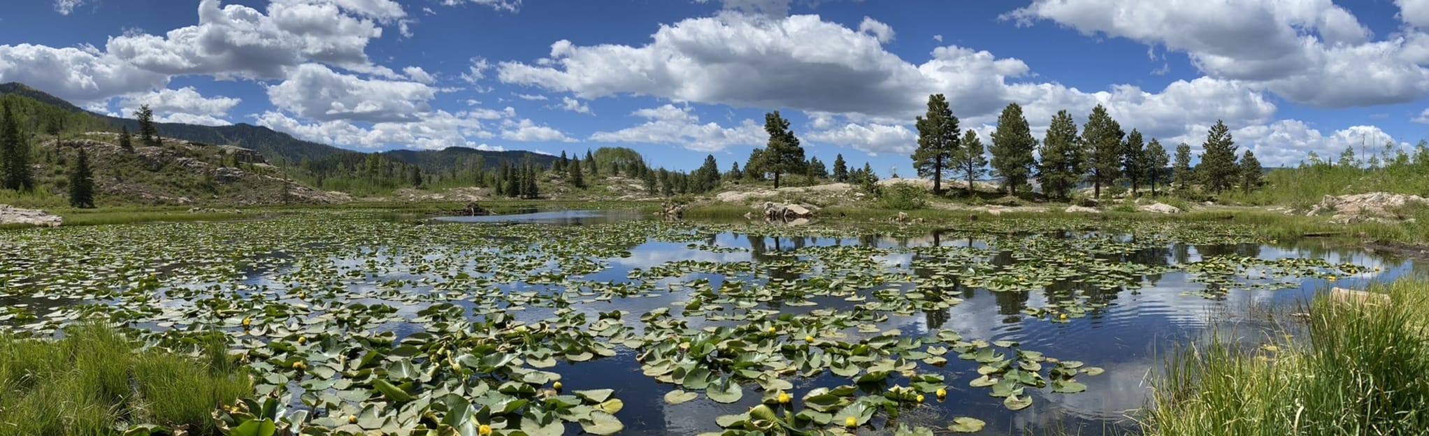 Old Lime Creek Rd, Colorado 110 Reviews, Map AllTrails