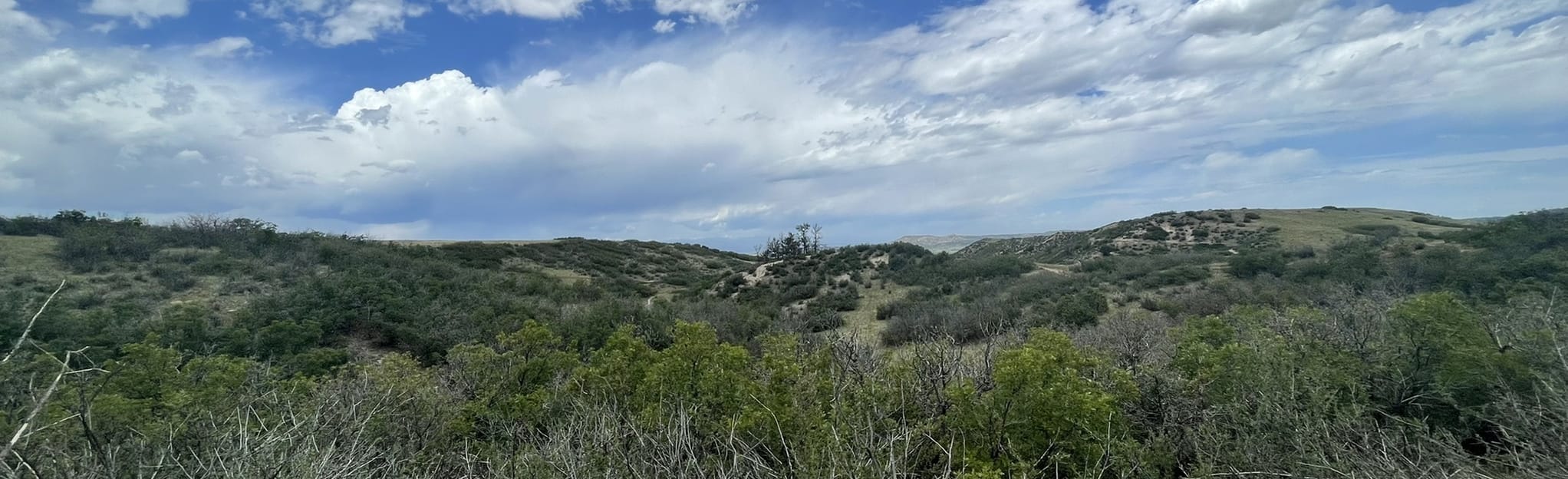 Ridgeline Open Space Blue Loop: 250 Reviews, Map - Colorado | AllTrails