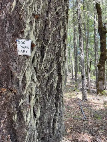 Best Hikes and Trails in Illinois River Forks State Park AllTrails