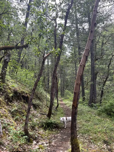 Best Hikes and Trails in Illinois River Forks State Park AllTrails