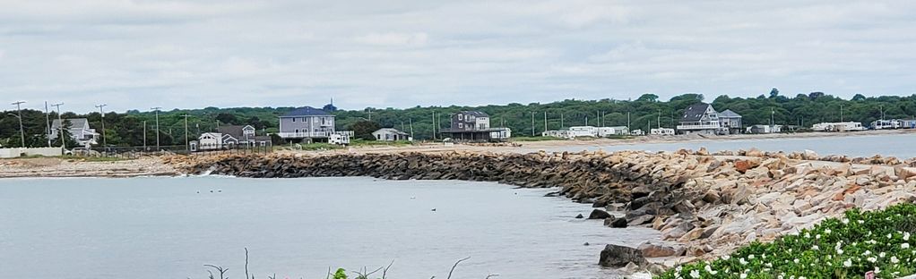 are dogs allowed at horseneck beach