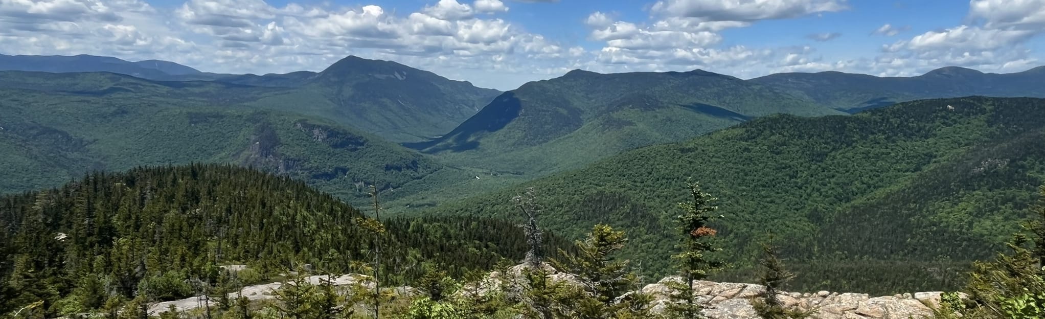 Mount Crawford via Davis Path Trail 1.152 fotos Nova Hampshire