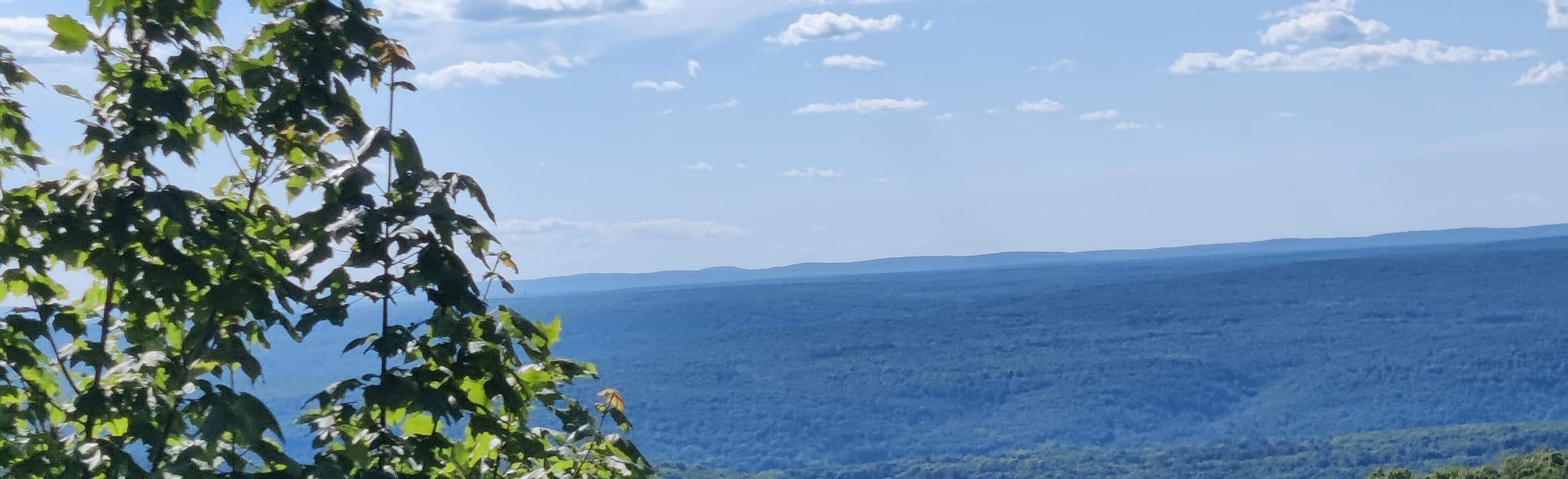 Buttermilk Falls and Rattlesnake Mountain Loop New Jersey AllTrails