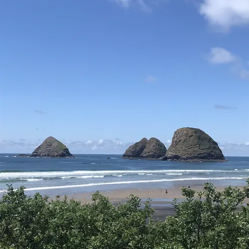 10 Best Trails and Hikes in Tillamook AllTrails