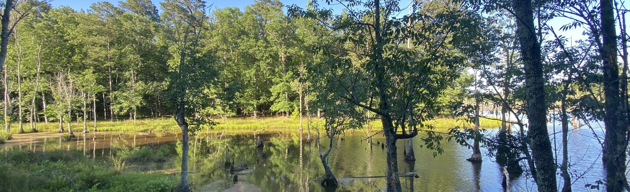 Newport News White Oak Trail 708 Reviews, Map Virginia AllTrails