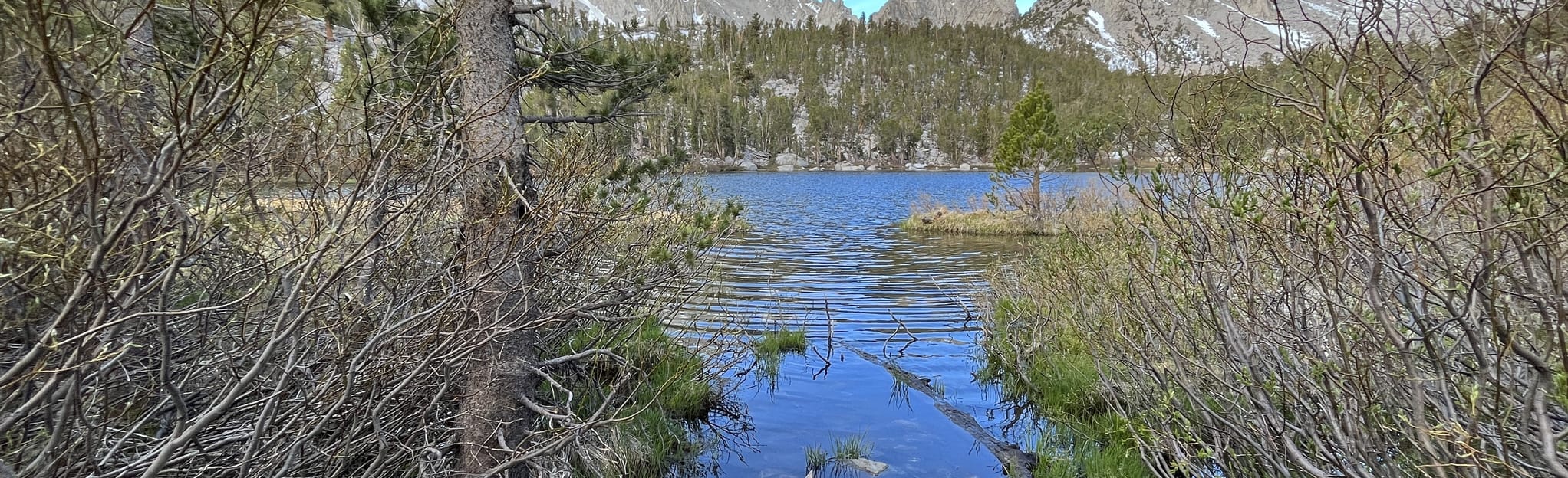 Onion Valley Campground to Flower Lake California AllTrails