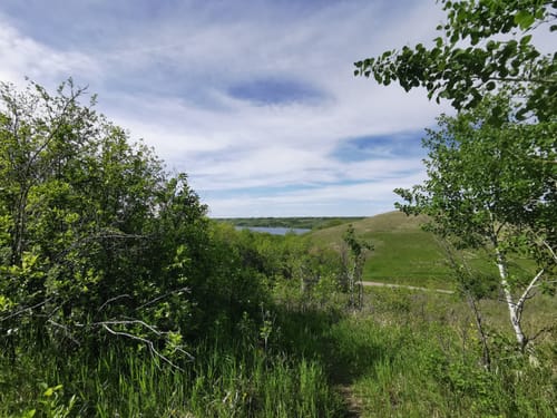 Best hikes and trails in Buffalo Pound Provincial Park AllTrails