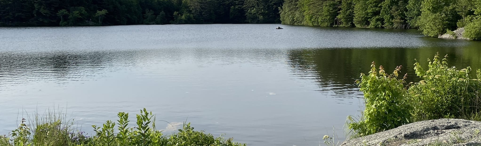 Maltby Lakes, Connecticut 178 Reviews, Map AllTrails