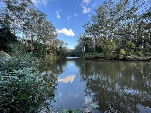 is lane cove national park dog friendly